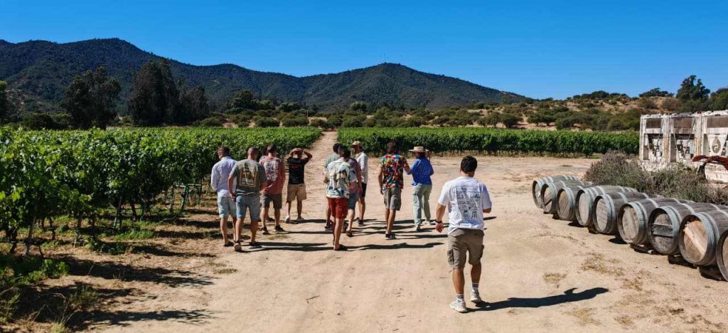 Visita a las Viñas del Valle Central