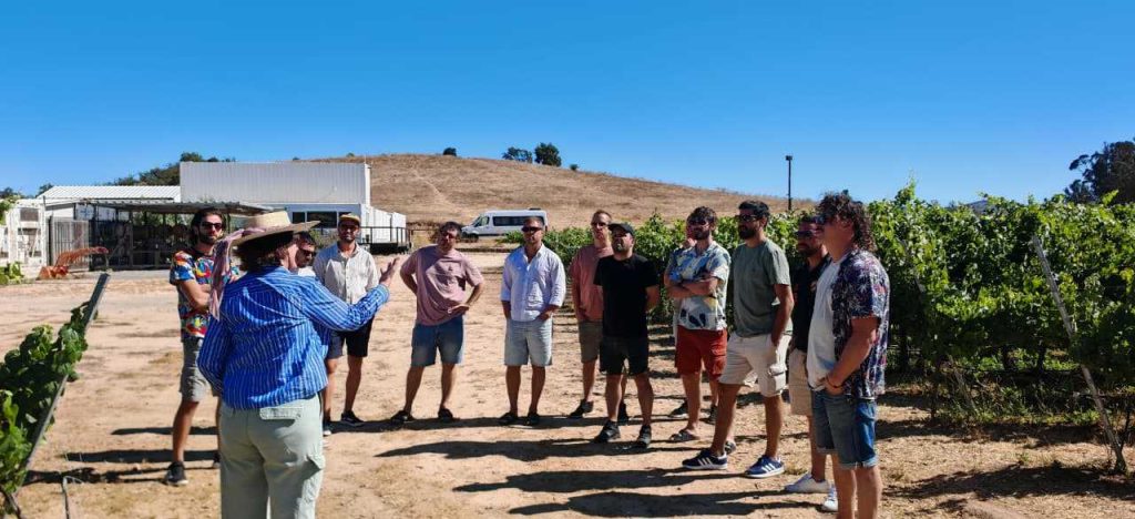 Tour a las Viñas del Valle Central de Chile